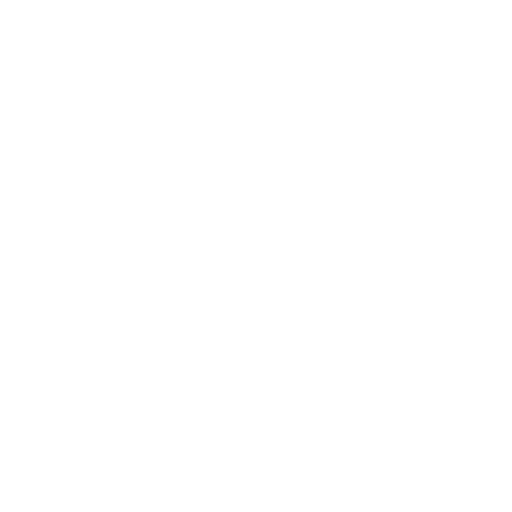 expert icon